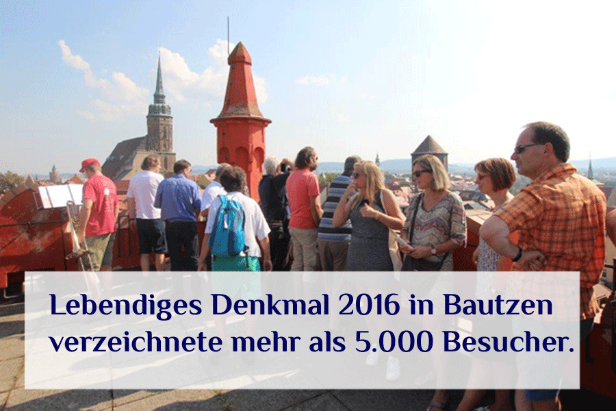 beitragsbild-blog-lebendige