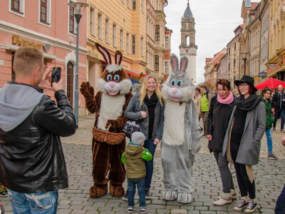OSterhasen in Bautzen 2018 Osterhasen zu Ostern 2018 in Bautzen