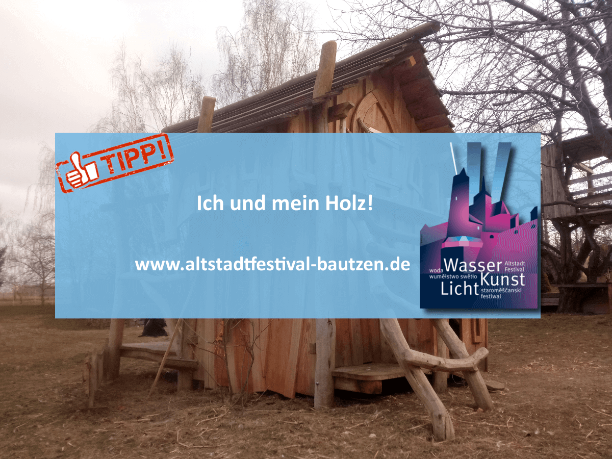 Akteure zum Altstadtfestival 2018 - Ingo Heinze