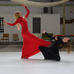 TanzArt zum Altstadtfestival 2018